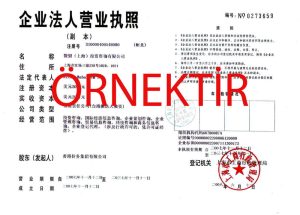 çin çalışma vizesi iş lisans belgesi
